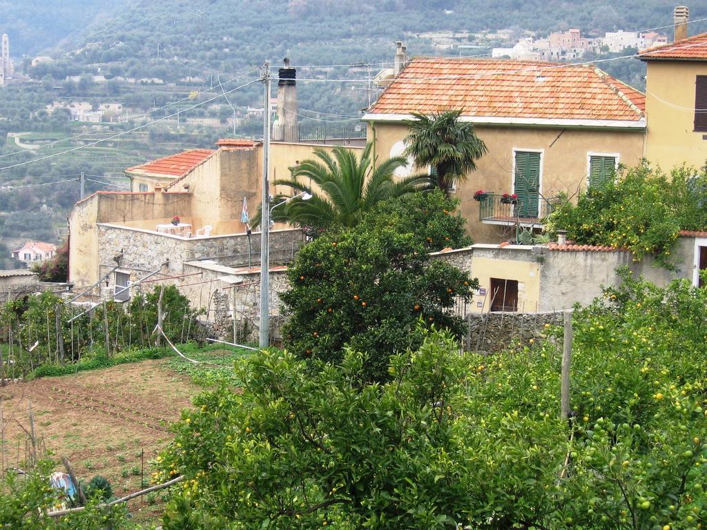Agriturismo Barilaro Finale Ligure Kültér fotó