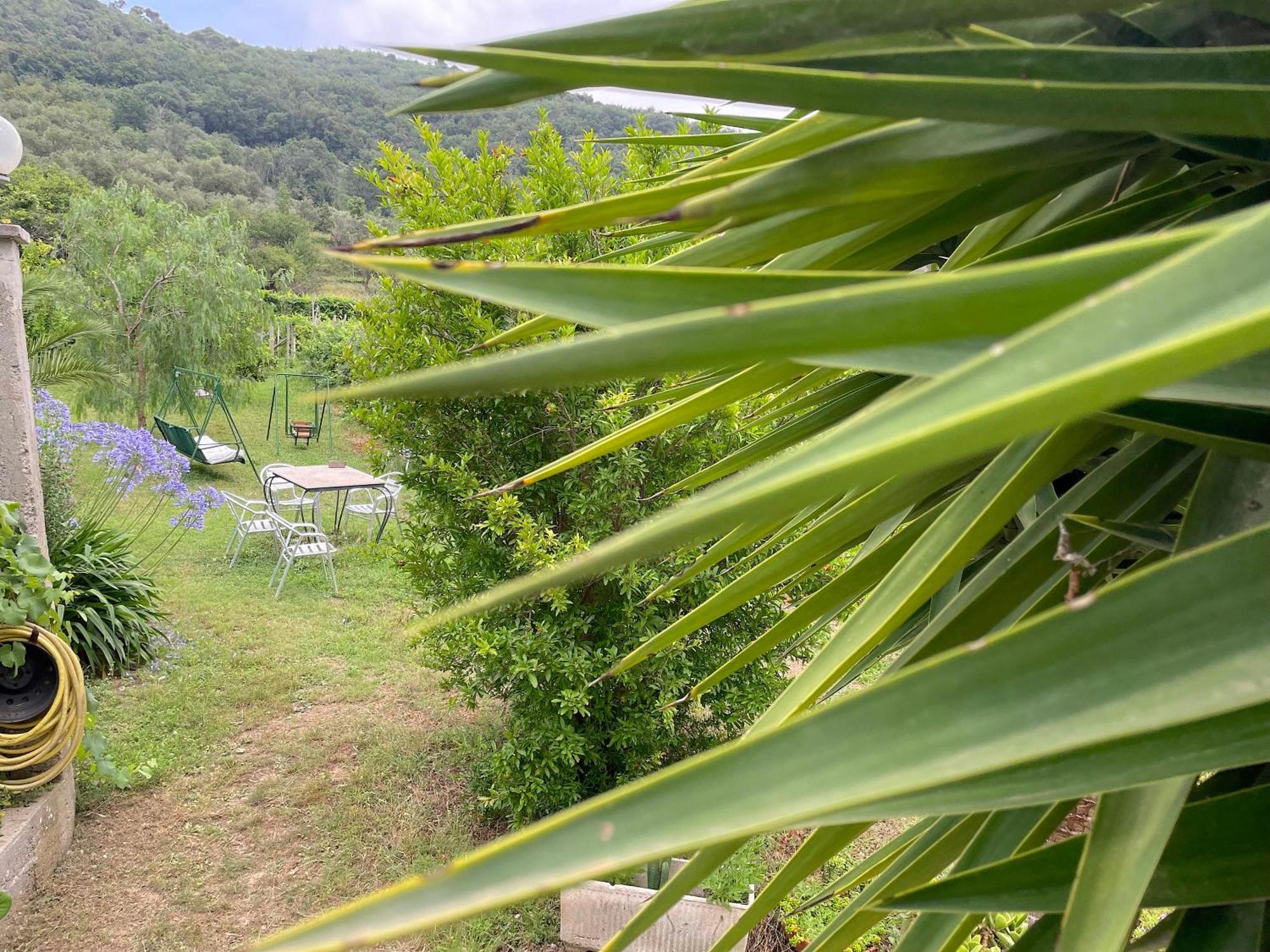 Agriturismo Barilaro Finale Ligure Kültér fotó